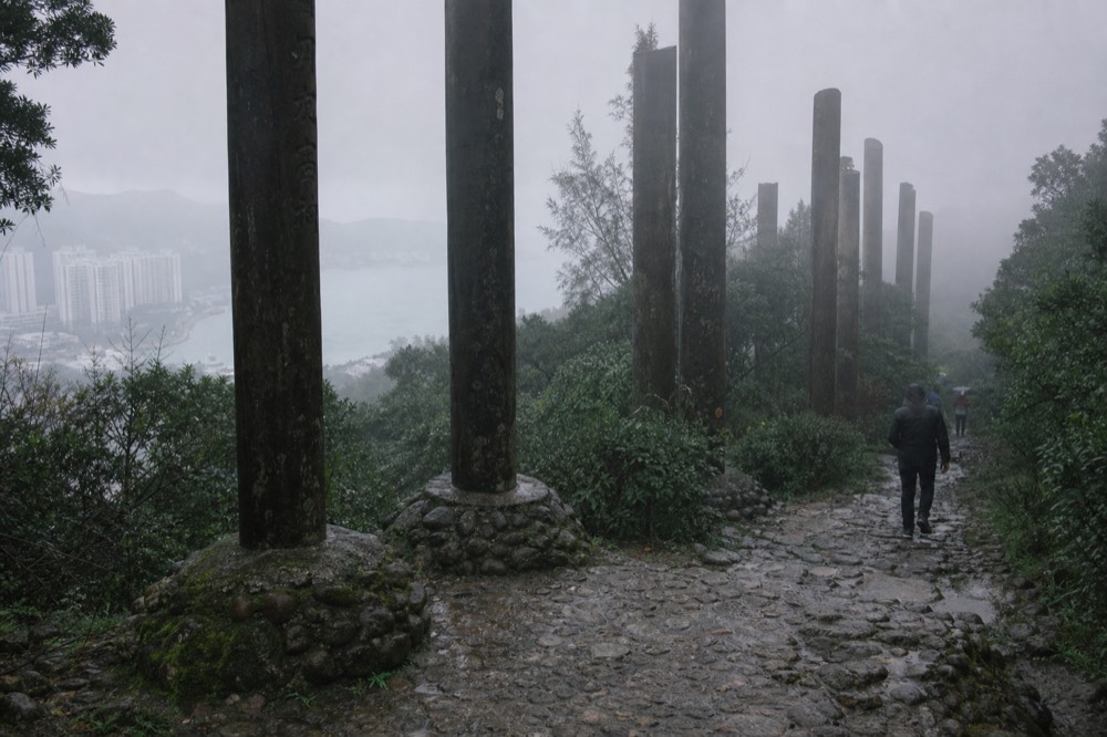 Timber columns of the Wisdom Path on the hillside below Lantau Peak, no text, no logos, no people