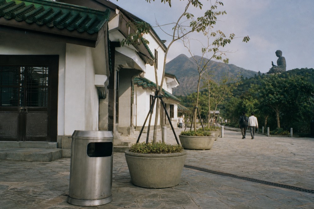 Village buildings on Lantau with bilingual signage, no text, no logos, no people