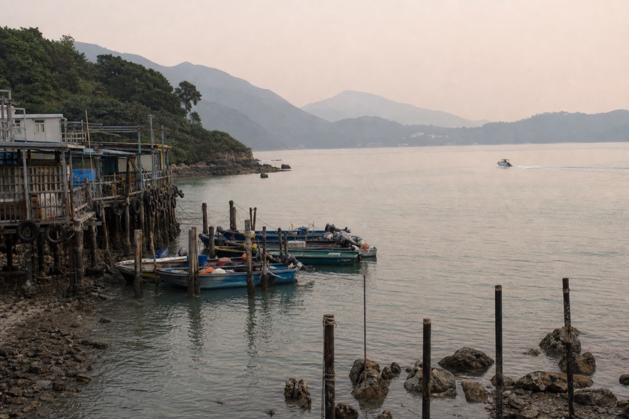 A Hong Kong island coastline with moored boats under a soft morning sky, no text, no logos, no people.