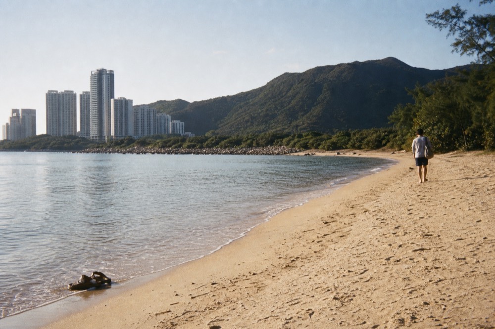 Sunlit beach with calm sea and clear sky along a wooded coastline, no text, no logos, no people